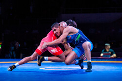 Iran’s Amouzad wins gold at 2026 Ulaanbaatar Open