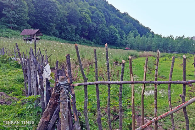 The feeling of beauty