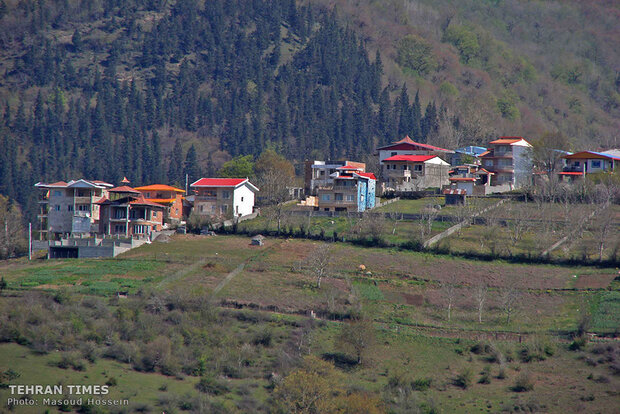 The feeling of beauty