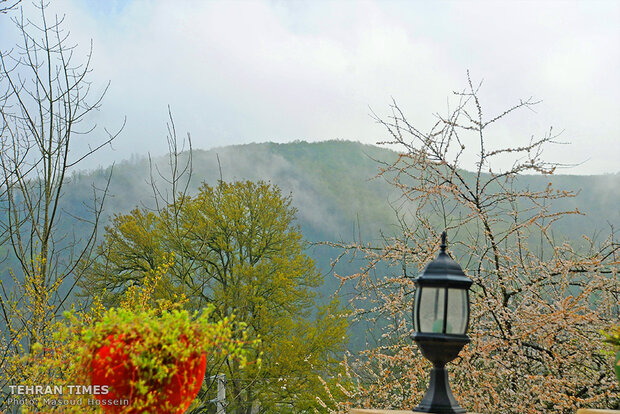 The feeling of beauty