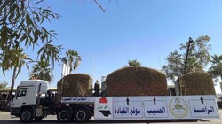 The making of Iraq’s Hashd