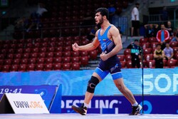 Mohammadi wrestler