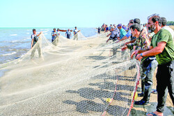 Fishing season starts in northern Iran