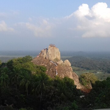 Poson in  Sri Lanka