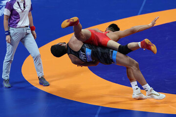 دانیال سهرابی - کشتی فرنگی