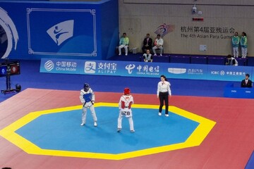 مهدی پوررهنما - پاراتکواندو