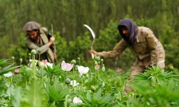 The end of Opium