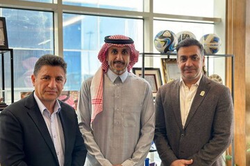 امیر قلعه نویی