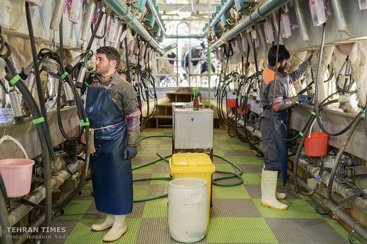 Agro-food industries meet food security