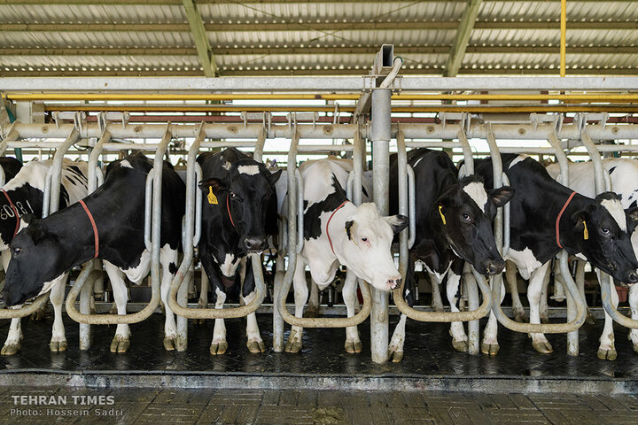 Agro-food industries meet food security