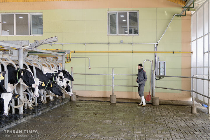 Agro-food industries meet food security