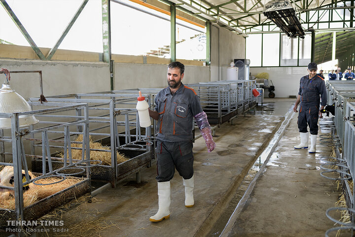 Agro-food industries meet food security