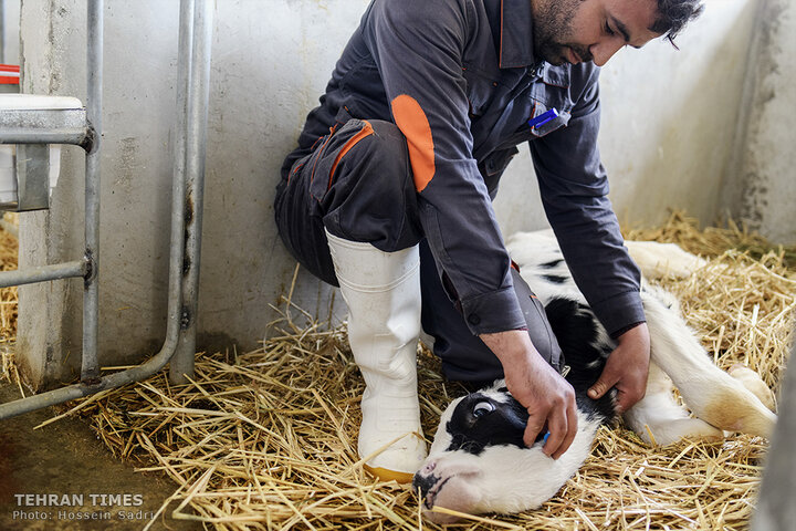 Agro-food industries meet food security