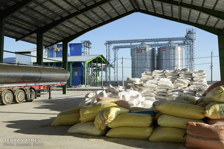 Agro-food industries meet food security