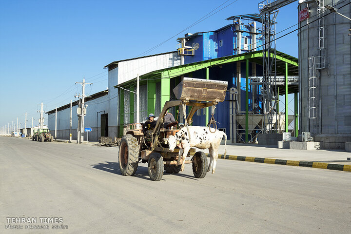 Agro-food industries meet food security