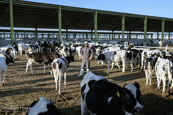 Agro-food industries meet food security