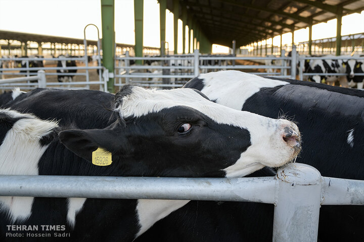 Agro-food industries meet food security