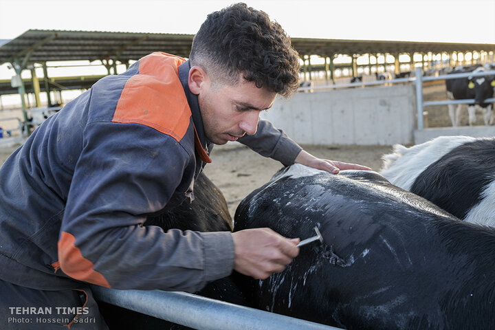 Agro-food industries meet food security