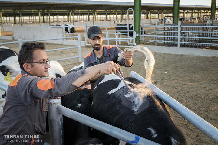 Agro-food industries meet food security