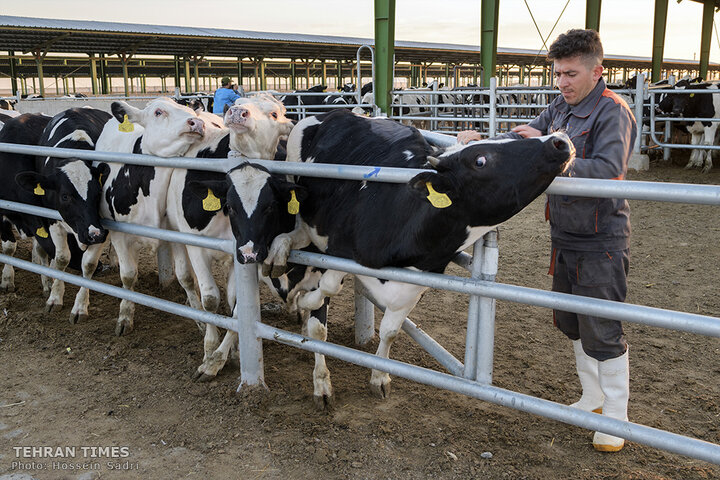 Agro-food industries meet food security