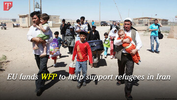 wfp