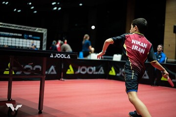نیکان شیروانی - تنیس روی میز