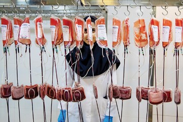 Shahid Rajaee section of Bandar Abbas port