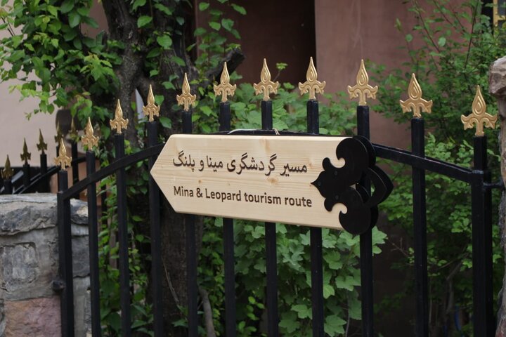 Kandelous: where ancient roots meet a sustainable future 