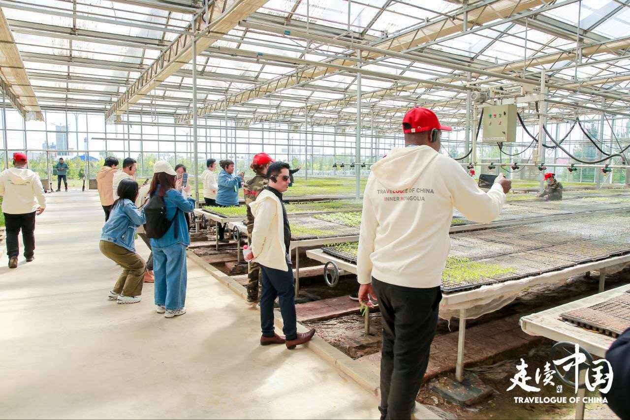 China’s green farming revolution takes root in Inner Mongolia
