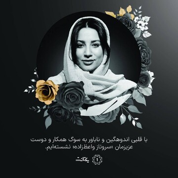 Iranian business development expert killed in Israeli strike on Tehran