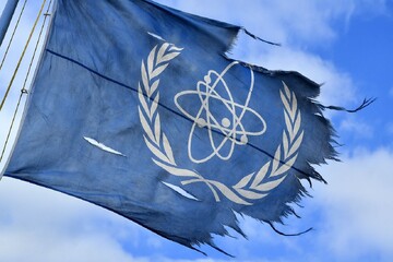International Atomic Energy Agency (IAEA)