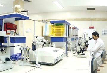 Notable Progress in Cell Therapy