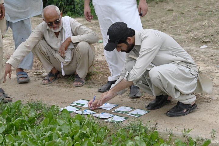 Tianjin's cauliflower seeds help address local industrial bottlenecks in Pakistan