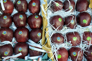 ‘Apple festival’ showcases Maragheh's flourishing tourism, economy