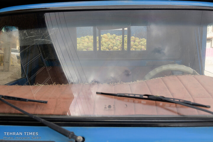 ‘Apple festival’ showcases Maragheh's flourishing tourism, economy