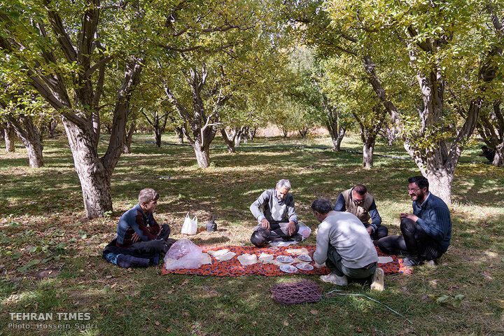 ‘Apple festival’ showcases Maragheh's flourishing tourism, economy