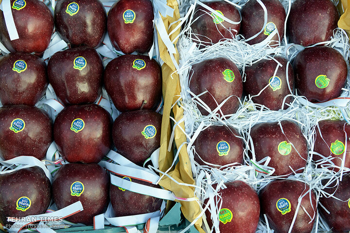 ‘Apple festival’ showcases Maragheh's flourishing tourism, economy