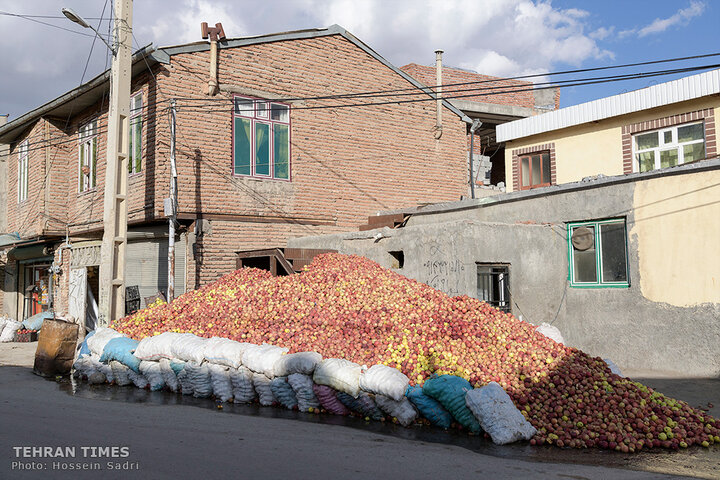 ‘Apple festival’ showcases Maragheh's flourishing tourism, economy