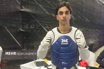 ابوالفضل زندي