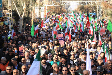 Massive crowds rally