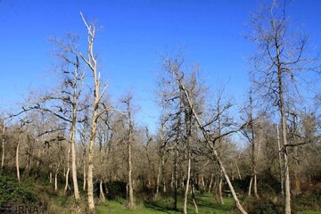 DOE underlines need to develop plan for combating agriculture pests