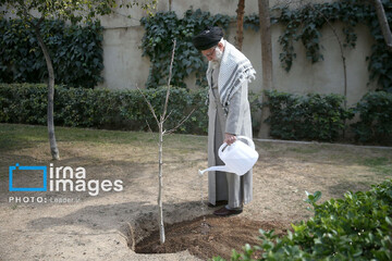Ayatollah Seyyed Ali Khamenei