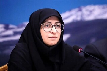 Shina Ansari, the head the Department of Environment (DOE)