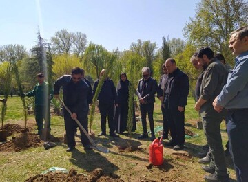 Shajareh Tayyebeh school