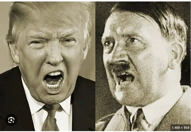 Trump is a new Hitler who has caused ‘regime change’ in US