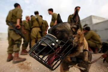 Israel’s canine unit of sexual torture
