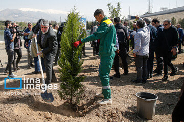 people to plant trees to commemorate the martyred students
