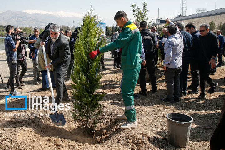 people to plant trees to commemorate the martyred students