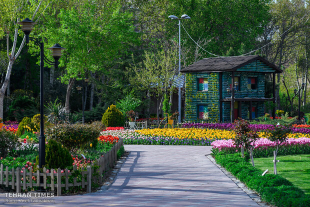 Virtually explore tulips in full bloom in park closed over coronavirus