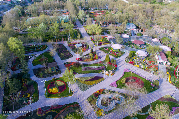 Virtually explore tulips in full bloom in park closed over coronavirus